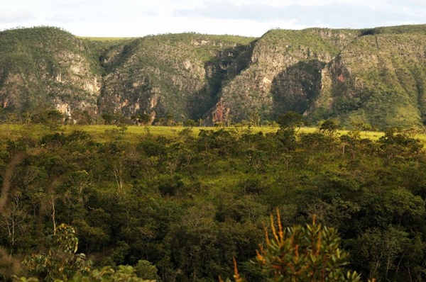 O Parque Nacional da Chapada dos Veadeiros preserva biodiversidade nativa (Marcelo Ferreira/CB/D.A Press)