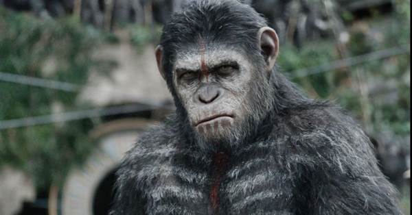 Cena do filme Planeta dos macacos - o confronto (Fox Filmes/Divulgao)