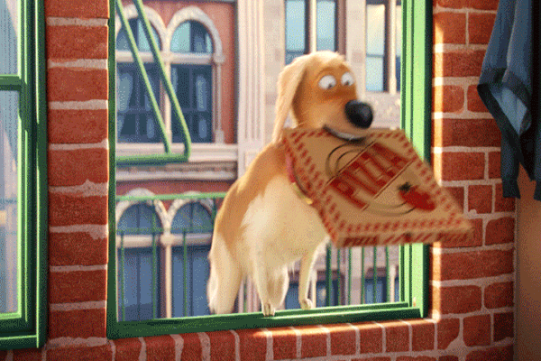 A animação Pets mostra as aventuras dos bichos quando eles estão sozinhos (Universal / Divulgação)